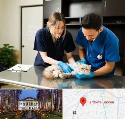 دامپزشکی سیار در باغ فردوس