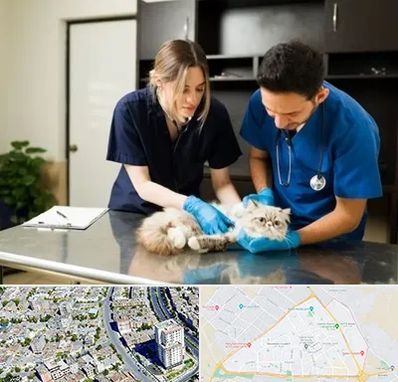 دامپزشکی سیار در قاسم آباد مشهد 