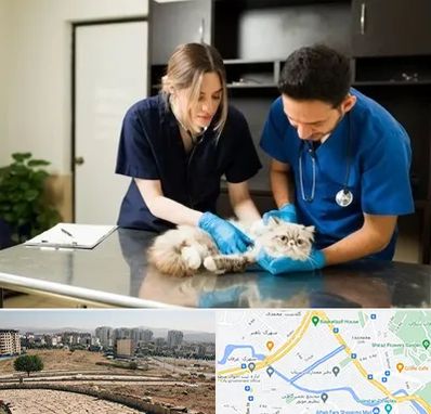 دامپزشکی سیار در کوی وحدت شیراز