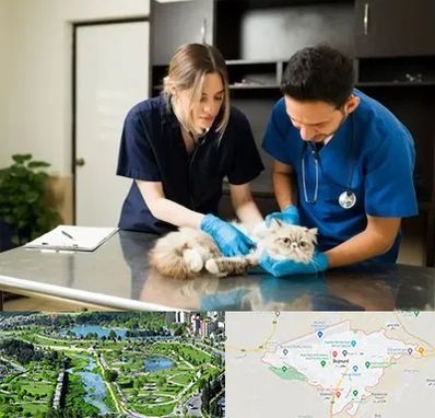 دامپزشکی سیار در بجنورد