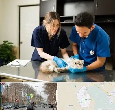 دامپزشکی سیار در نظرآباد کرج 