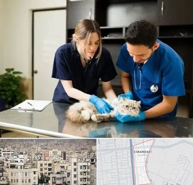 دامپزشکی سیار در اسکندری