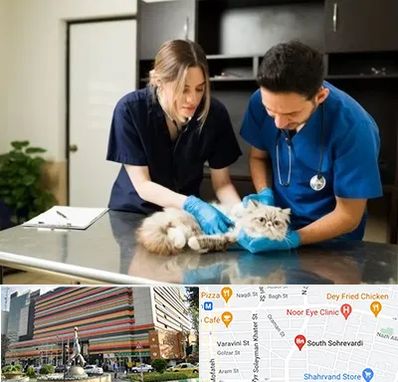 دامپزشکی سیار در سهروردی 