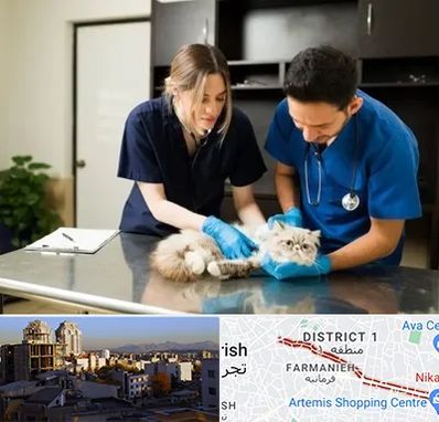 دامپزشکی سیار در فرمانیه 