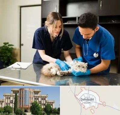 دامپزشکی سیار در دهدشت