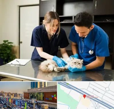 دامپزشکی سیار در لاله پارک تبریز