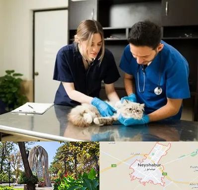 دامپزشکی سیار در نیشابور