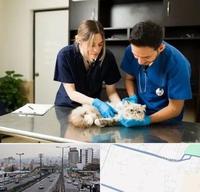 دامپزشکی سیار در بلوار ارتش