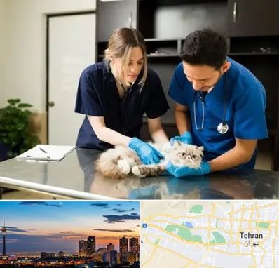 دامپزشکی سیار در غرب تهران 