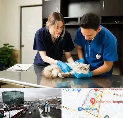 دامپزشکی سیار در اقدسیه 