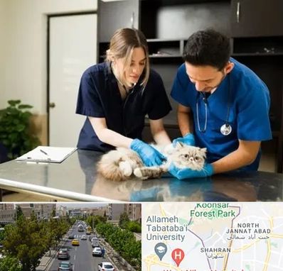 دامپزشکی سیار در شهران 