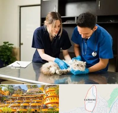 دامپزشکی سیار در دربند