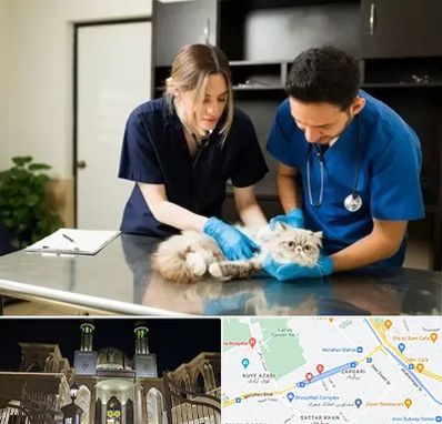 دامپزشکی سیار در زرگری شیراز