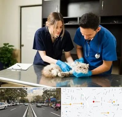 دامپزشکی سیار در دولت 