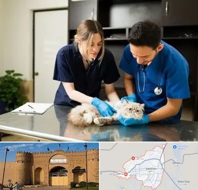 دامپزشکی سیار در ایرانشهر