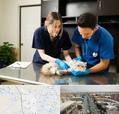 دامپزشکی سیار در حصارک کرج