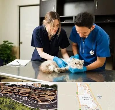 دامپزشکی سیار در شاهین شهر