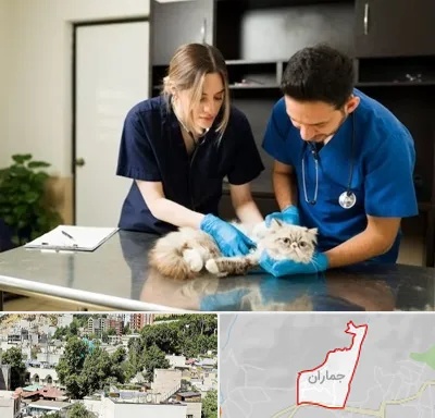 دامپزشکی سیار در جماران