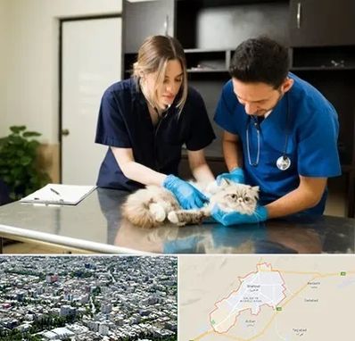 دامپزشکی سیار در شاهرود