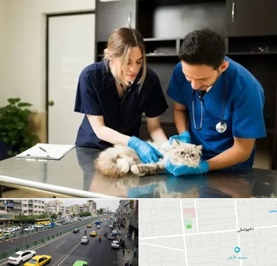دامپزشکی سیار در خیابان دامپزشکی