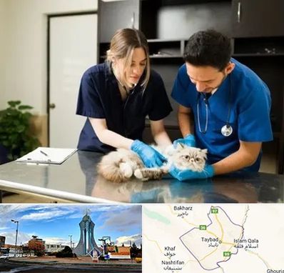 دامپزشکی سیار در تایباد