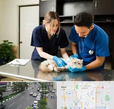 دامپزشکی سیار در ستارخان 