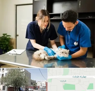 دامپزشکی سیار در طرشت