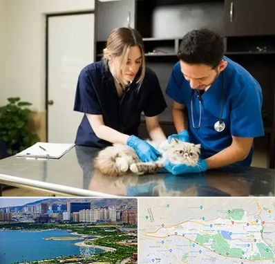 دامپزشکی سیار در منطقه 22 تهران 