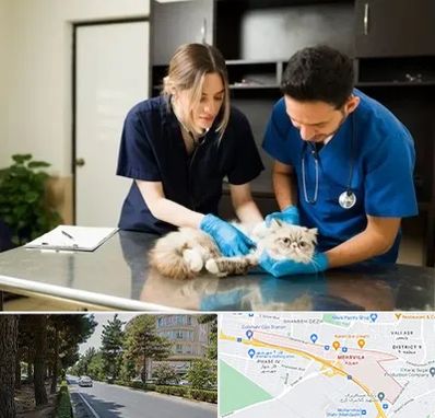 دامپزشکی سیار در مهرویلا کرج