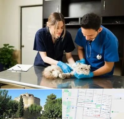 دامپزشکی سیار در مرداویج اصفهان