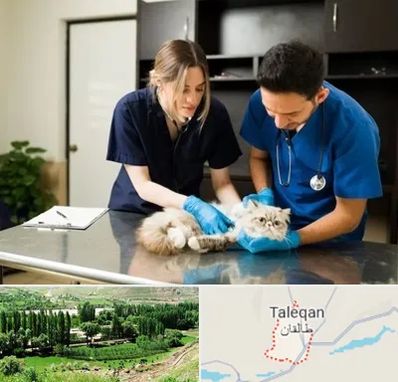 دامپزشکی سیار در طالقان