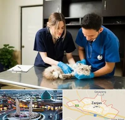 دامپزشکی سیار در زنجان
