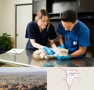 دامپزشکی سیار در اسفراین