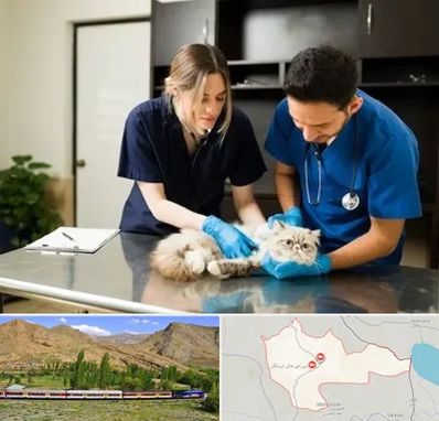 دامپزشکی سیار در خاش