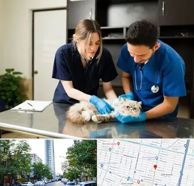 دامپزشکی سیار در امامت مشهد