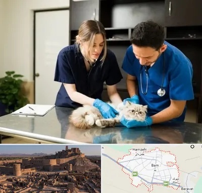 دامپزشکی سیار در بم