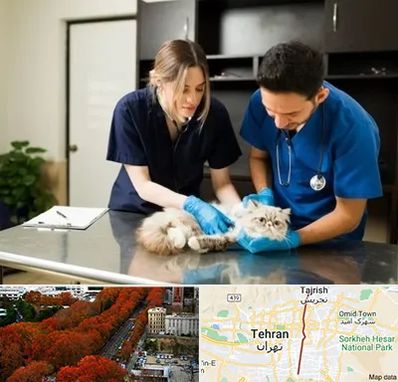 دامپزشکی سیار در ولیعصر 