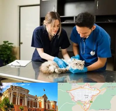 دامپزشکی سیار در خوی