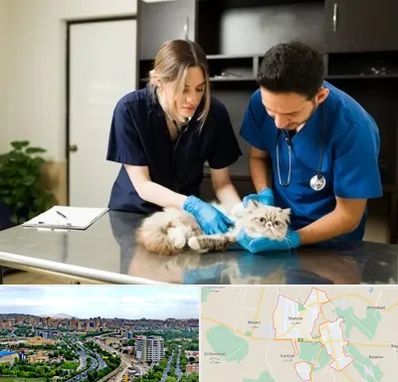 دامپزشکی سیار در شهریار