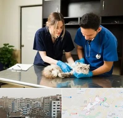 دامپزشکی سیار در محمد شهر کرج 