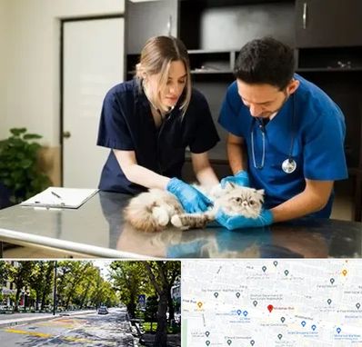 دامپزشکی سیار در میرداماد 