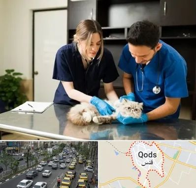 دامپزشکی سیار در شهر قدس