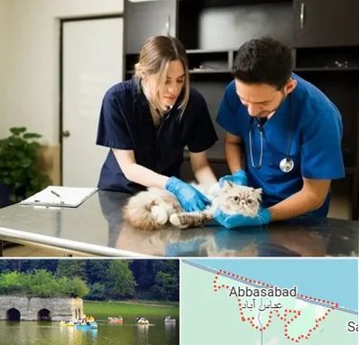 دامپزشکی سیار در عباس آباد