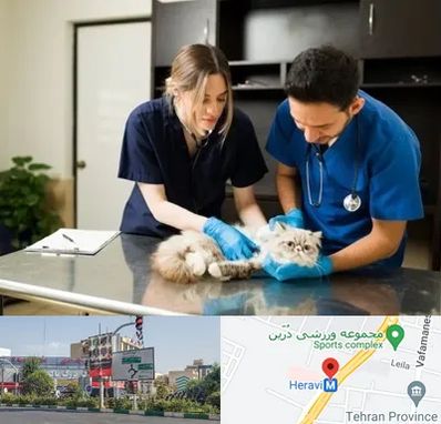 دامپزشکی سیار در هروی 