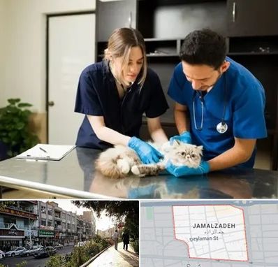 دامپزشکی سیار در خیابان جمالزاده