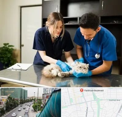 دامپزشکی سیار در بلوار فرحزادی