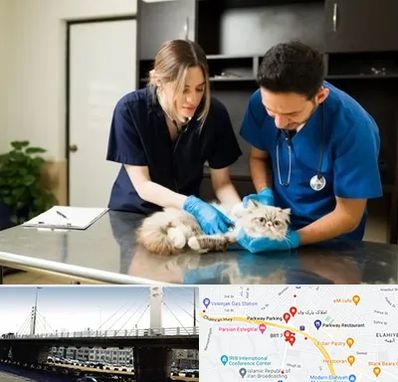 دامپزشکی سیار در پارک وی 