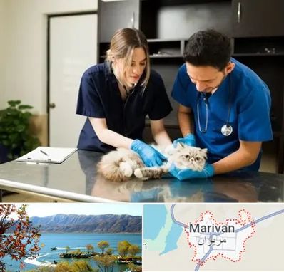 دامپزشکی سیار در مریوان