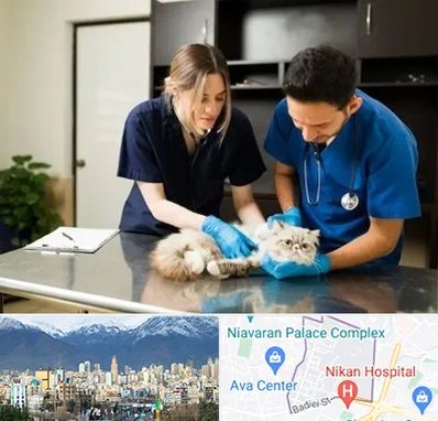 دامپزشکی سیار در آجودانیه 