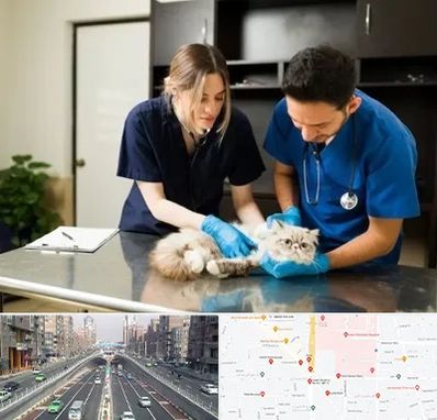 دامپزشکی سیار در توحید 